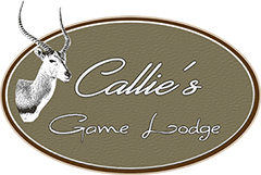 Callie Game Lodge
